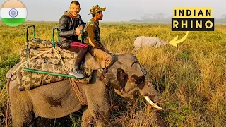 Tracking down Rhino riding an Elephant - Kaziranga Park - India Motovlog