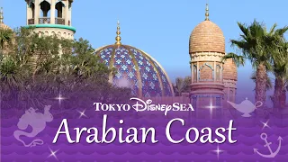 Arabian Coast - Area Background Music | at Tokyo DisneySea