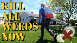 Obliterate All Of The Weeds In Your Yard In One Week