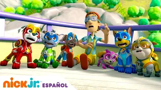 PAW Patrol, Patrulla de cachorros  | ¡Los cachorros y el meteorito perdido! | Nick Jr. en Español