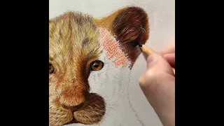 Drawing The Lion King: Simba | TimeLapse | Realistic Lion Drawing #shorts