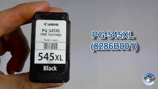 How to Refill Canon PG-545XL (8286B001) Black Ink Cartridge