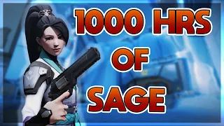 What 1000 hours of AGGRESSIVE SAGE plays look like