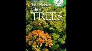 The Secret Life of Trees