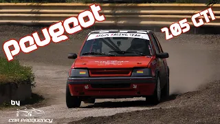 Peugeot 205 GTI - Ruud Lavrijsen