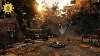 GreedFall Ambience & Ambient Music | Camp In The Woods | New Serene | Day/Night Cycles