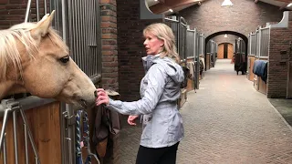 Staltour met Anky van Grunsven