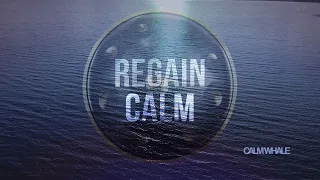 Didgeridoo & Handpan Grounding Meditation - Regain CALM - Let GO of Overthinking | Calm Whale