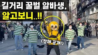 길거리 꿀벌 알바생인줄 알았는데 알고보니...? Honeybee Part-time Worker Busking!?