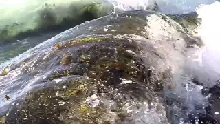 240 frames per second slow motion shorebreak with seaweed