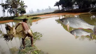 Net Fishing | Traditional Cast Net Fishing In The Village Pond | Fishing By Cast Net  (Part -37)