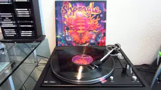 SHPONGLE - How the Jellyfish Jumped Up the Mountain  VINYL