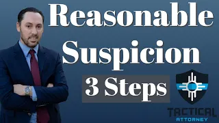 Reasonable Suspicion - Prosecutor Explains