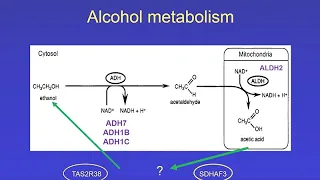 CARTA: Altered States of the Human Mind: Alcohol Metabolism and Alcoholism