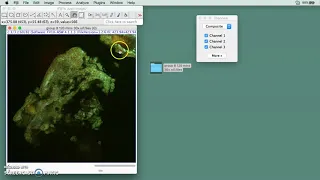 How to use Fiji or ImageJ to create a 3D image using 3D viewer plugin