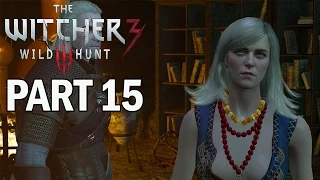 The Witcher 3: Wild Hunt Walkthrough Part 15 Nithral Boss - PS4 Gameplay