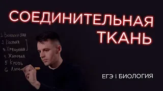 Соединительная ткань I ЕГЭ Биология | Даниил Дарвин