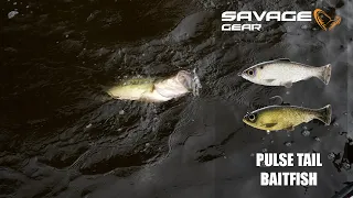 Pulsetail Baitfish with Cliff Pace