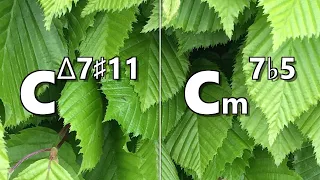 Cmaj7#11 to Cm7b5 Backing Track