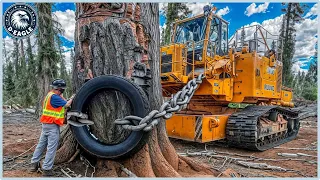 50 AMAZING Biggest Heavy Equipment Chainsaw Machines Working At Another Level