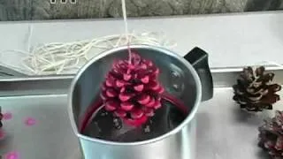 How to: Pine Cone Fire Starters