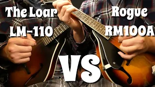 $50 Mandolin VS $250 Mandolin | Rogue RM100A VS The Loar LM-110