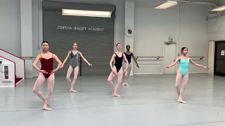 Fondu in Regular Ballet Technique Class, Vaganova training in California #dance #dancevideo #ballet