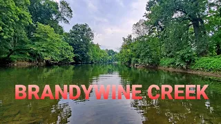 Fishing the Brandywine Creek for Smallmouth and Largemouth Bass