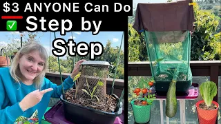 How To Build a RAISED BED $3 Container Garden Grow Zucchini + Dollar Store Basket Easy Small Spaces