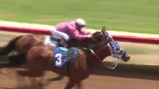 Horse wins race without rider - Ruidoso Downs NM