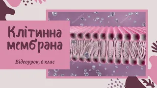 Знайомство з клітиною. Клітинна мембрана. Лабораторне дослідження №1 | 6 клас