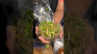 Eating Live Jumping Shrimp Salad In Bangkok