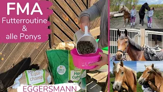 XXL FMA FUTTERROUTINE & ALLE 5 PONYS 🐴 | Eggersmann | Marina und die Ponys