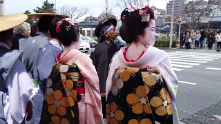 Geishas Walk in Gion Shijo & Pontocho Alley, Kyoto | 外国人観光客が人生初！舞妓さんの微笑みに大感激！京都祇園、先斗町、海外の反応