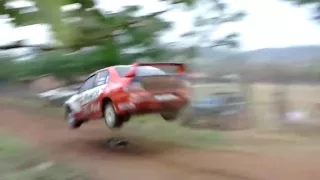 Car Jumps Over Dog