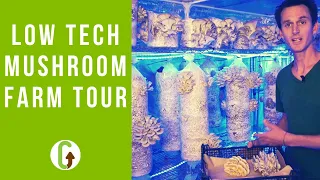 GroCycle Mushroom Farm Tour [Inside Our Low Tech Mushroom Farm] | GroCycle