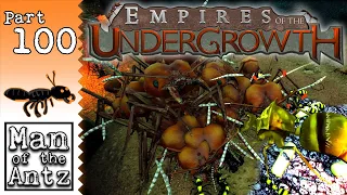 Tug Of War On Hard | Empires of the Undergrowth - Part 100 (!)