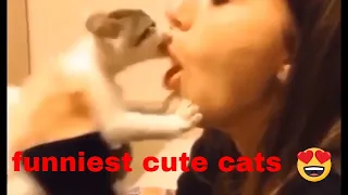 Cutest Cats Compilation 2021| Best Cute Cat Videos Ever