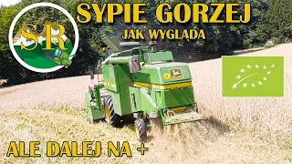 Kończymy zbiór żyta | John Deere 1157 i John Deere 5080R