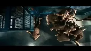 Донни Йен сцена драки  Donnie Yen Fight csene