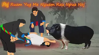 poj ruam yug me nyuam rau npua noj 26/4/2024