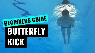 BUTTERFLY DOLPHIN KICK | Enhancing Your Body Undulation