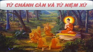 Tứ Chánh Cần Và Tứ Niệm Xứ (RẤT HAY)