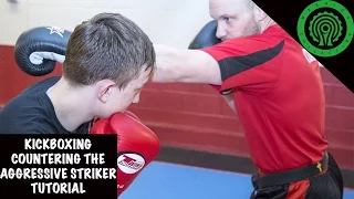 Kickboxing Countering the Aggressive Striker Tutorial