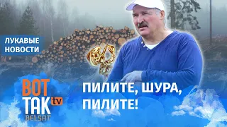 Как Лукашенко хвастался проваленной модернизацией / Лукавые новости