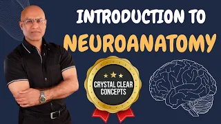 Intro to Neuroanatomy | Neurophysiology | Neuroscience | Central Nervous System