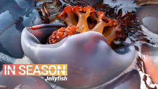 How Jellyfish is Eaten in China - In Season (S1E5)