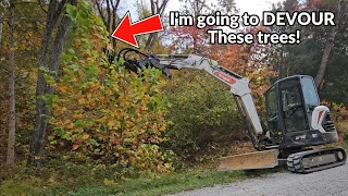 Mini Excavator Conquers 15' Jungle with HD Brush Cutter