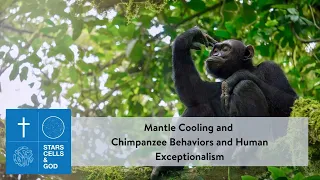 Mantle Cooling and Chimpanzee Behaviors and Human Exceptionalism | Stars, Cells, and God ep4