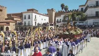 Procesión de la Entrada Triunfal de Jesús en Jerusalén en Cáceres (Domingo de Ramos)